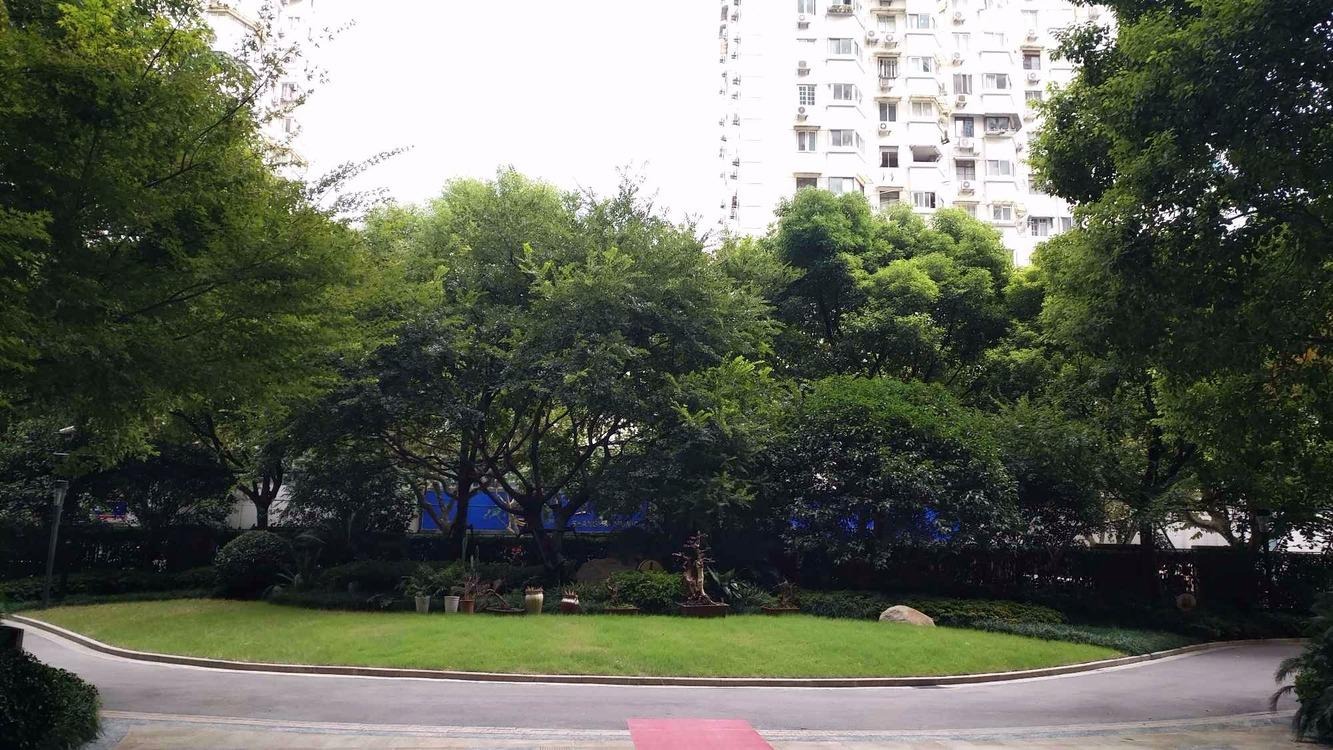 上海徐汇中凯城市之光名邸二手房房源图片