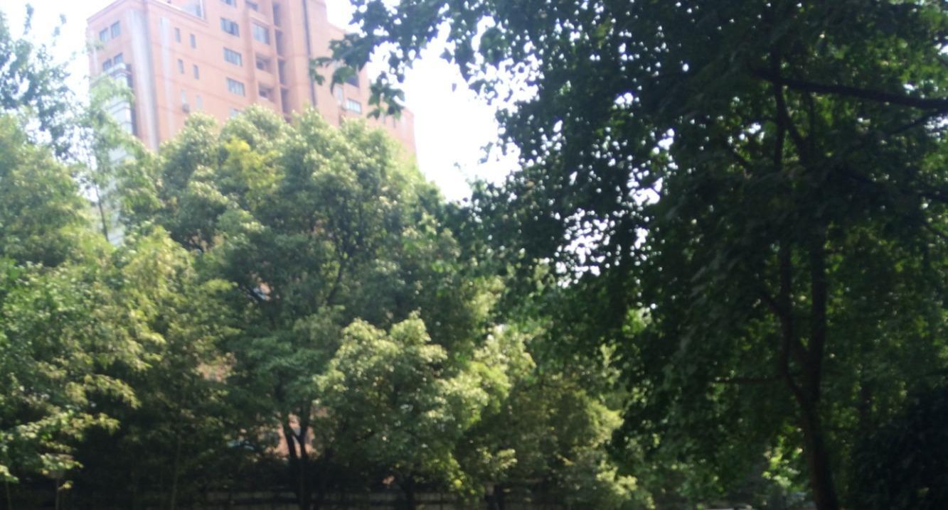 上海太原邸二手房房源图片
