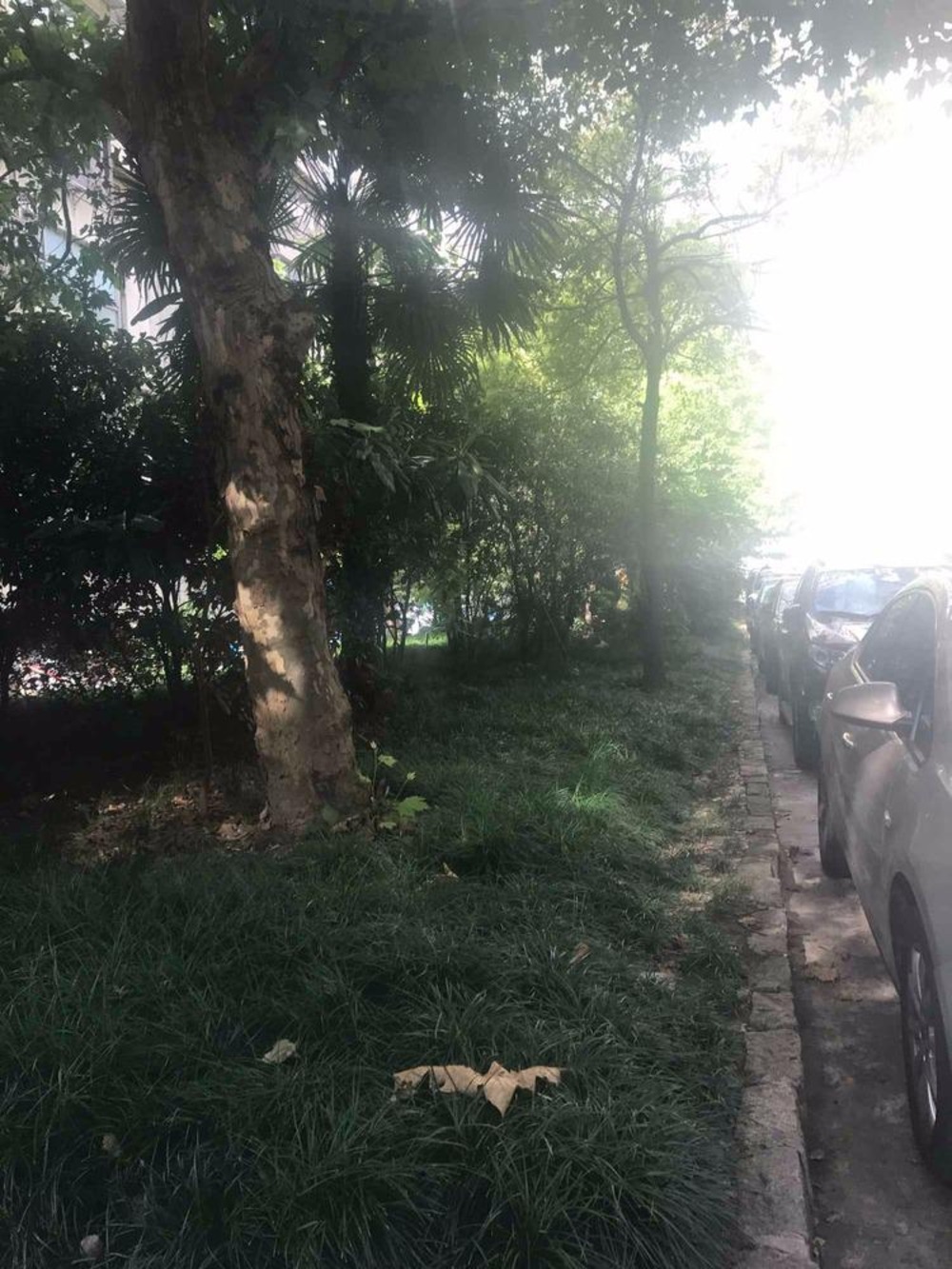 上海东安花苑二手房房源图片