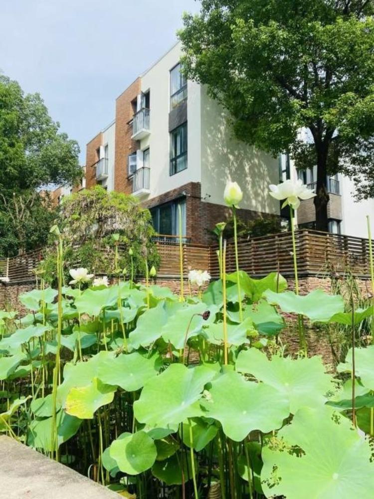 上海林茵湖畔园西区(别墅)二手房房源图片