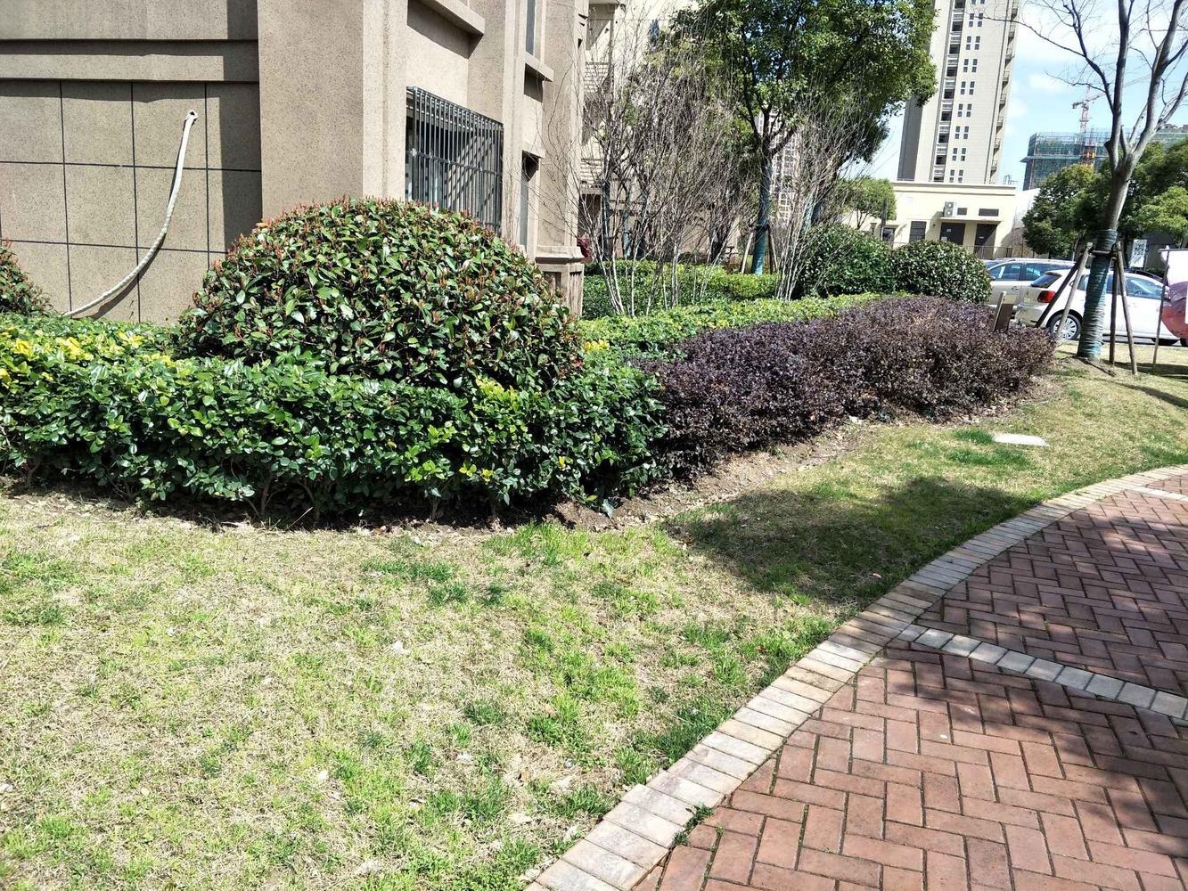 上海日月光伯爵天地汇景华庭二手房房源图片