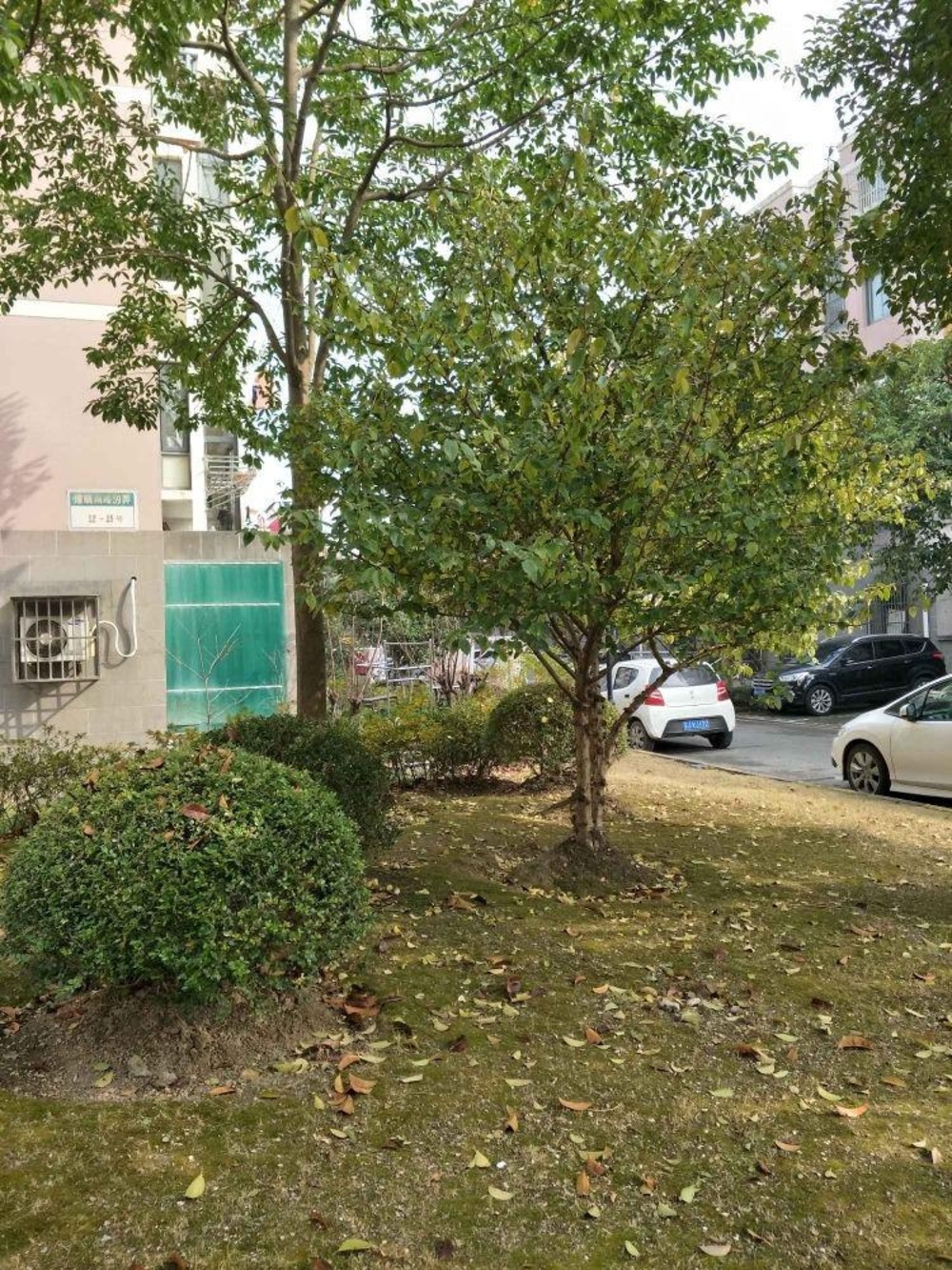 上海世博家园十三街坊二手房房源图片