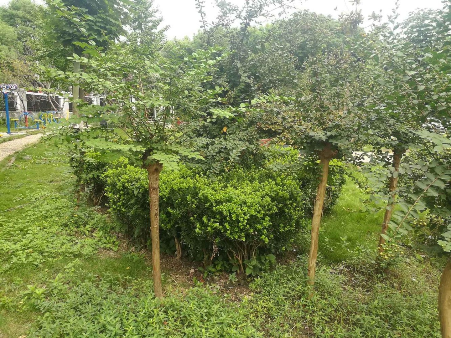 上海会波苑二手房房源图片