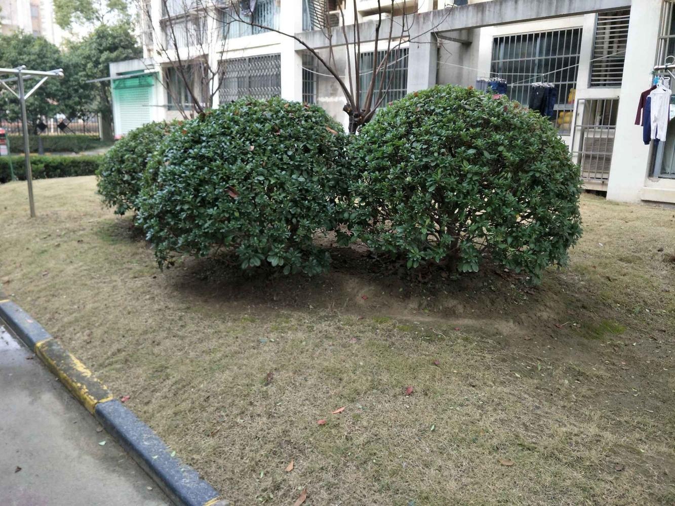 上海世博家园十街坊二手房房源图片