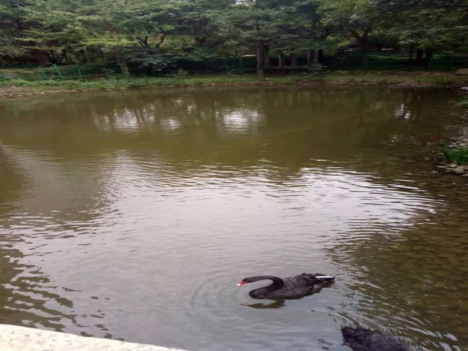 上海世茂滨江花园二手房房源图片