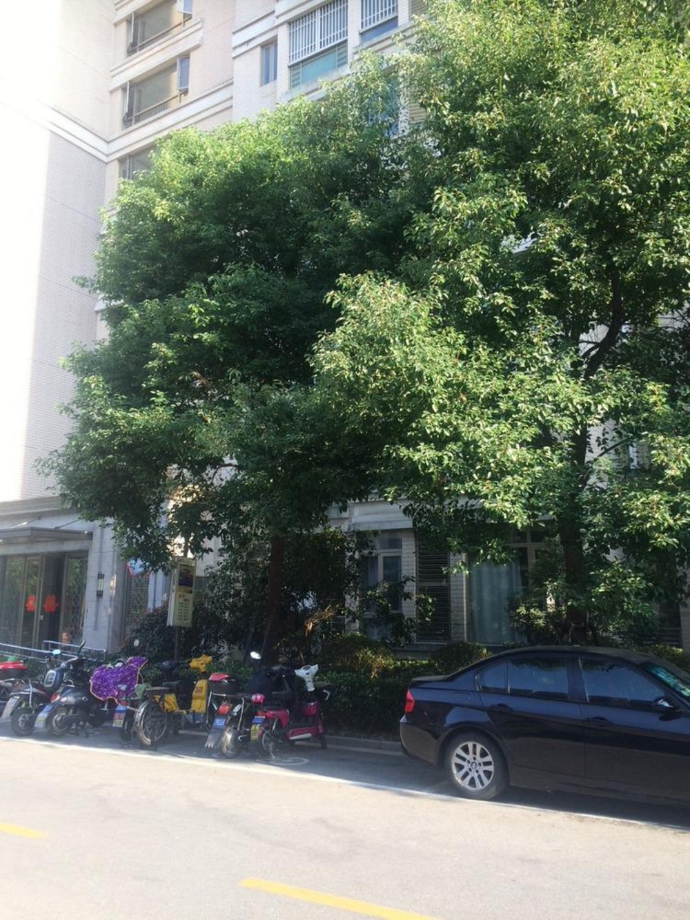 上海日月光伯爵天地城市华庭二手房房源图片