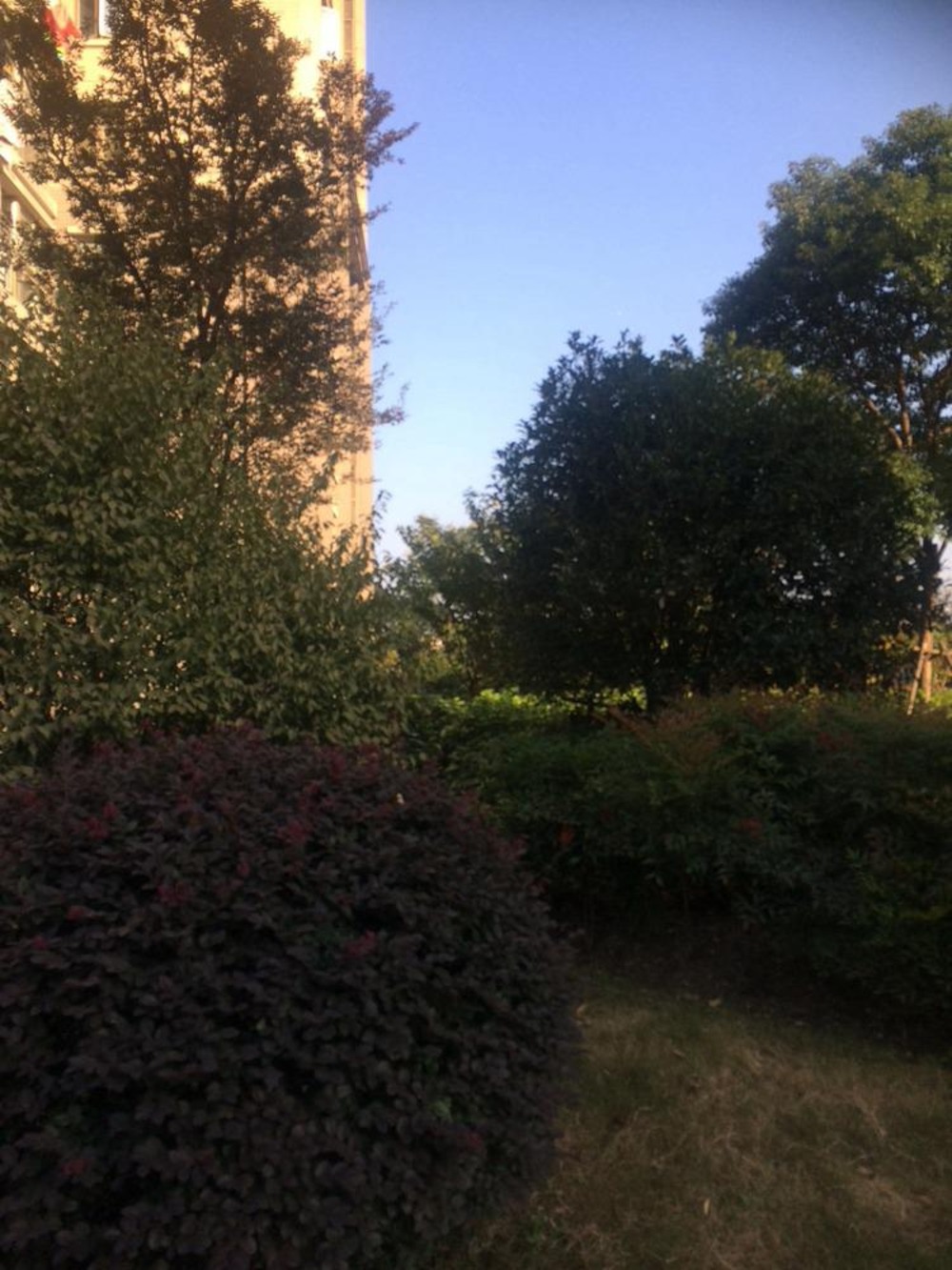 上海日月光伯爵天地城市华庭二手房房源图片