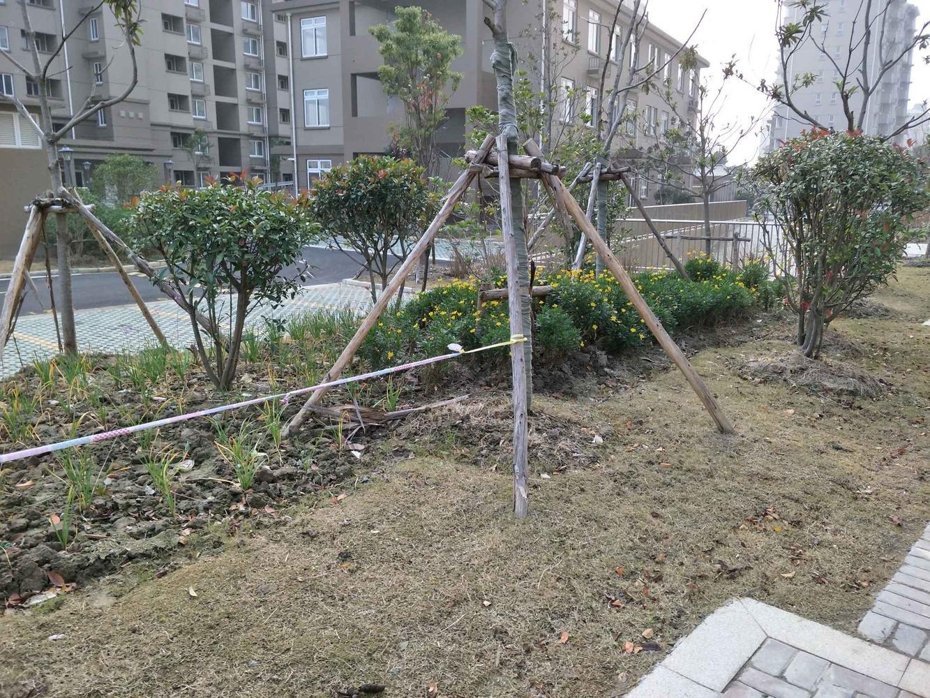 上海滨浦新苑六村二手房房源图片