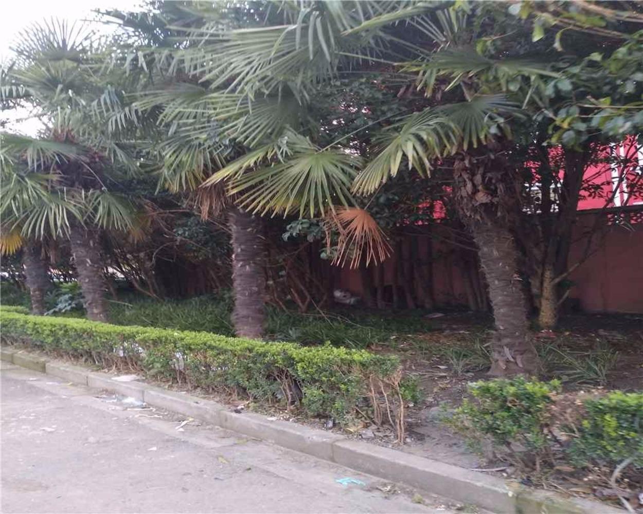 上海东沟七村二手房房源图片