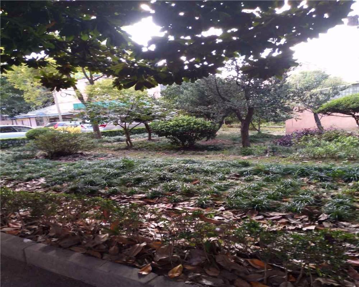 上海东沟七村二手房房源图片