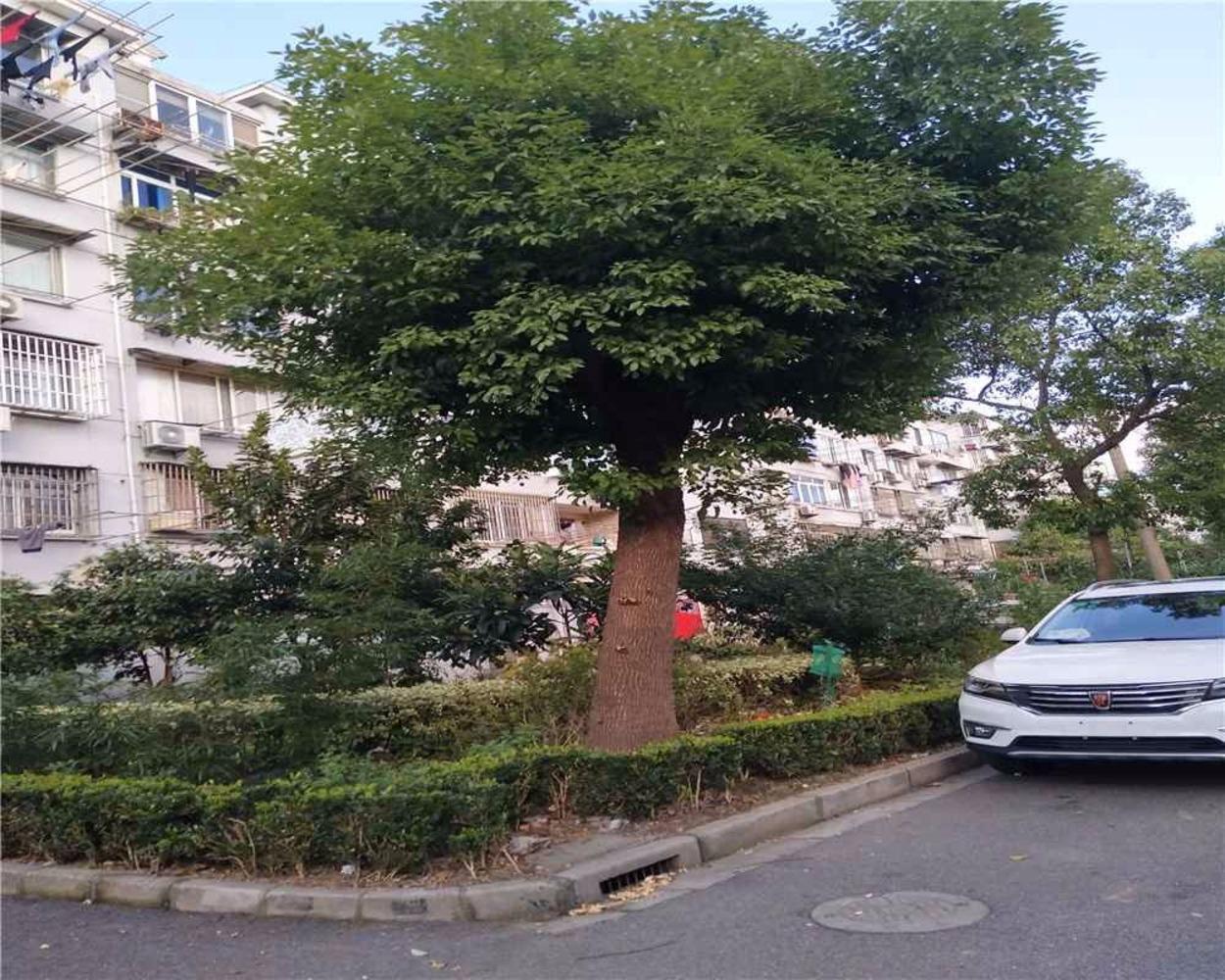 上海东沟三村二手房房源图片