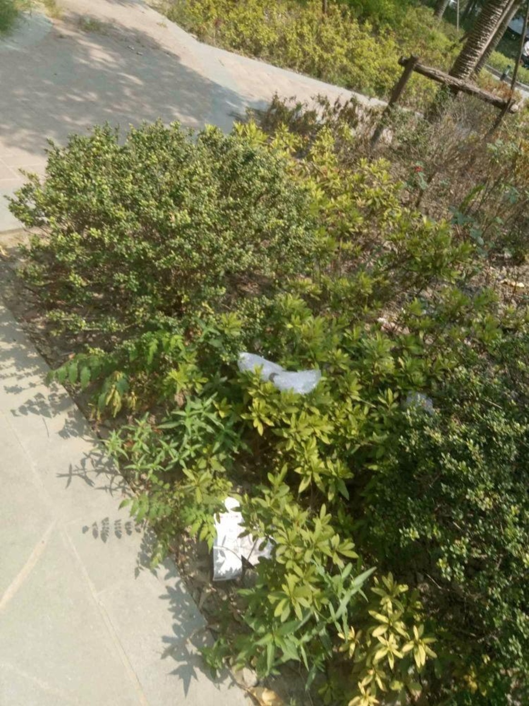 上海丰宝苑二手房房源图片
