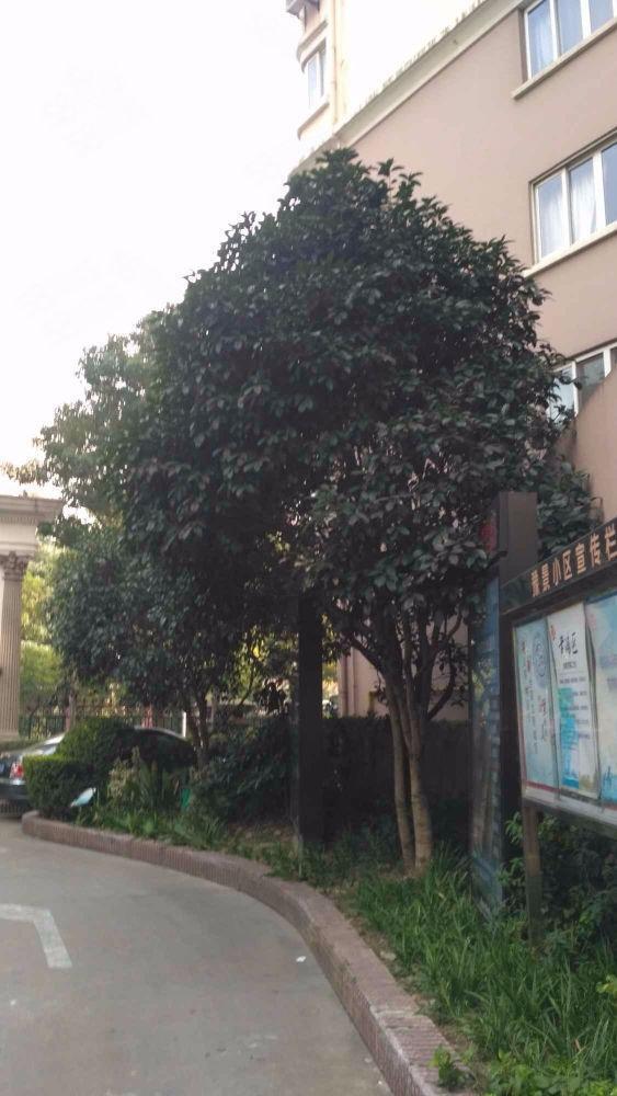 上海豫景公寓二手房房源图片