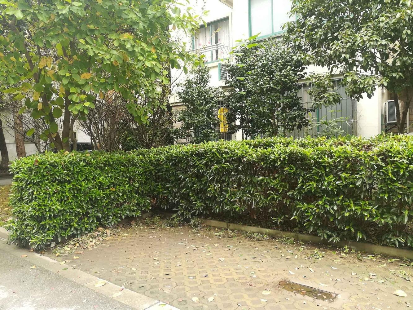 上海金港花园(一期公寓住宅)二手房房源图片