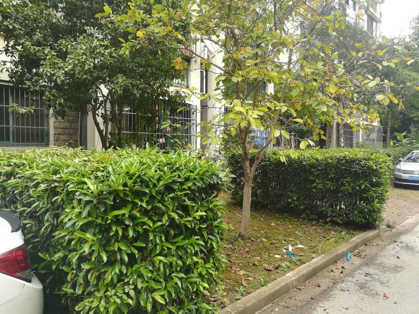 上海金港花园(一期公寓住宅)二手房房源图片