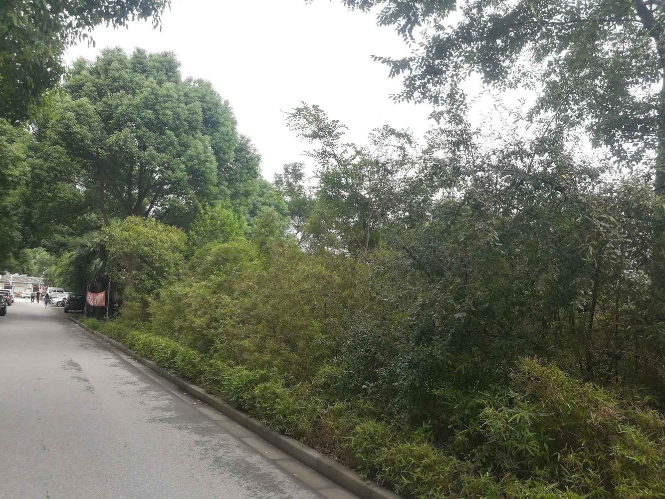 上海金港花园(一期公寓住宅)二手房房源图片