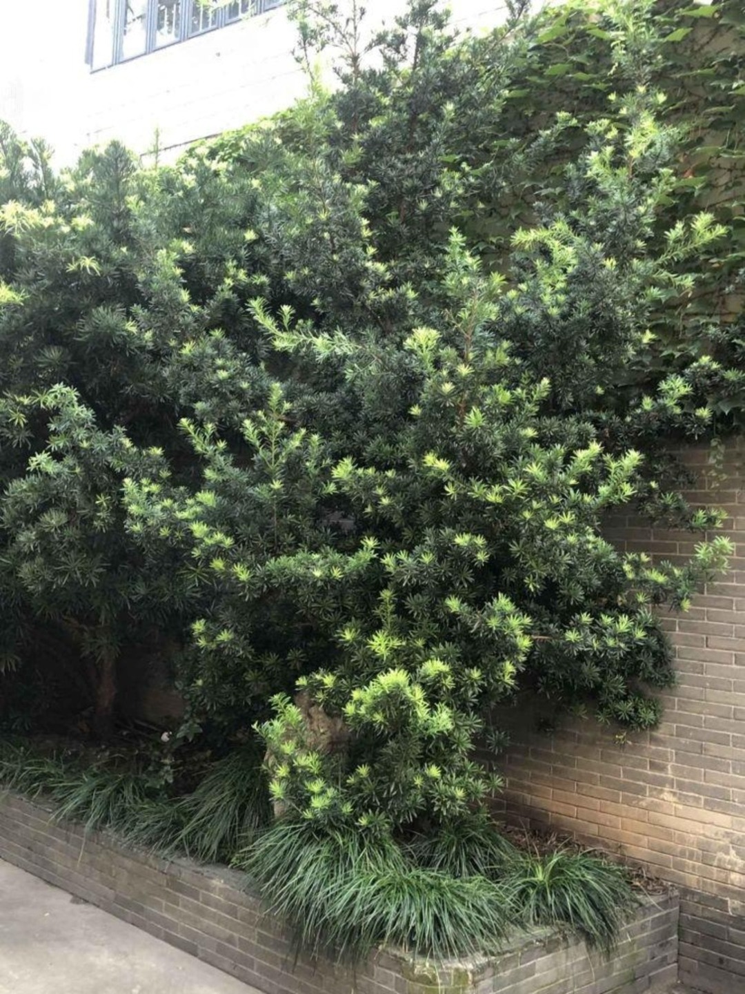 上海静安别墅公寓二手房房源图片