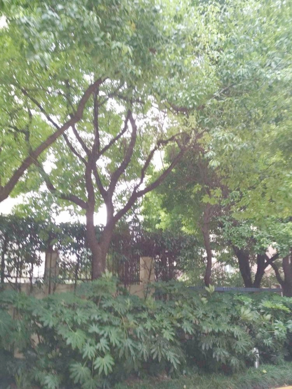 上海中汇花园二手房房源图片