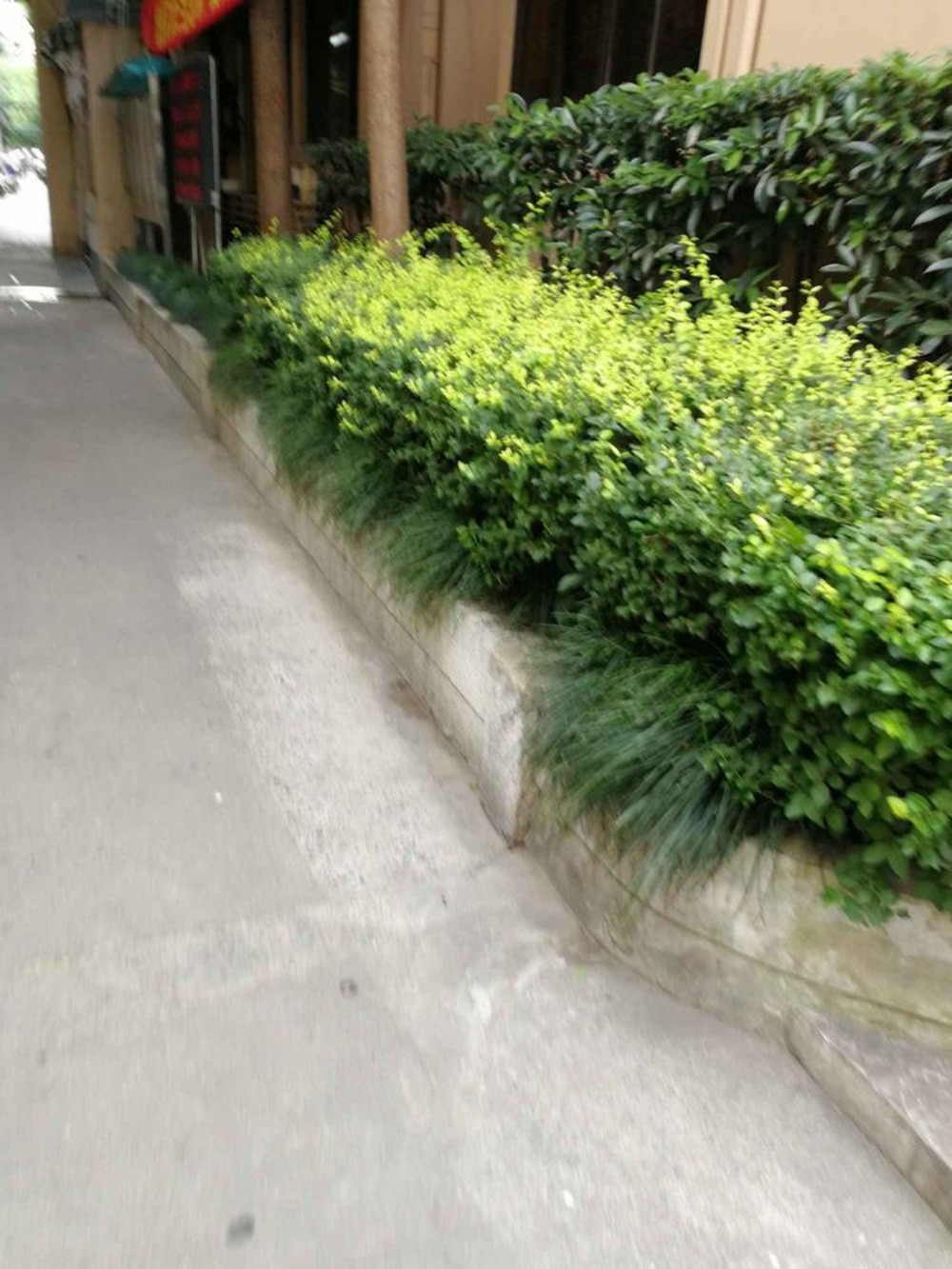 上海马当小区二手房房源图片