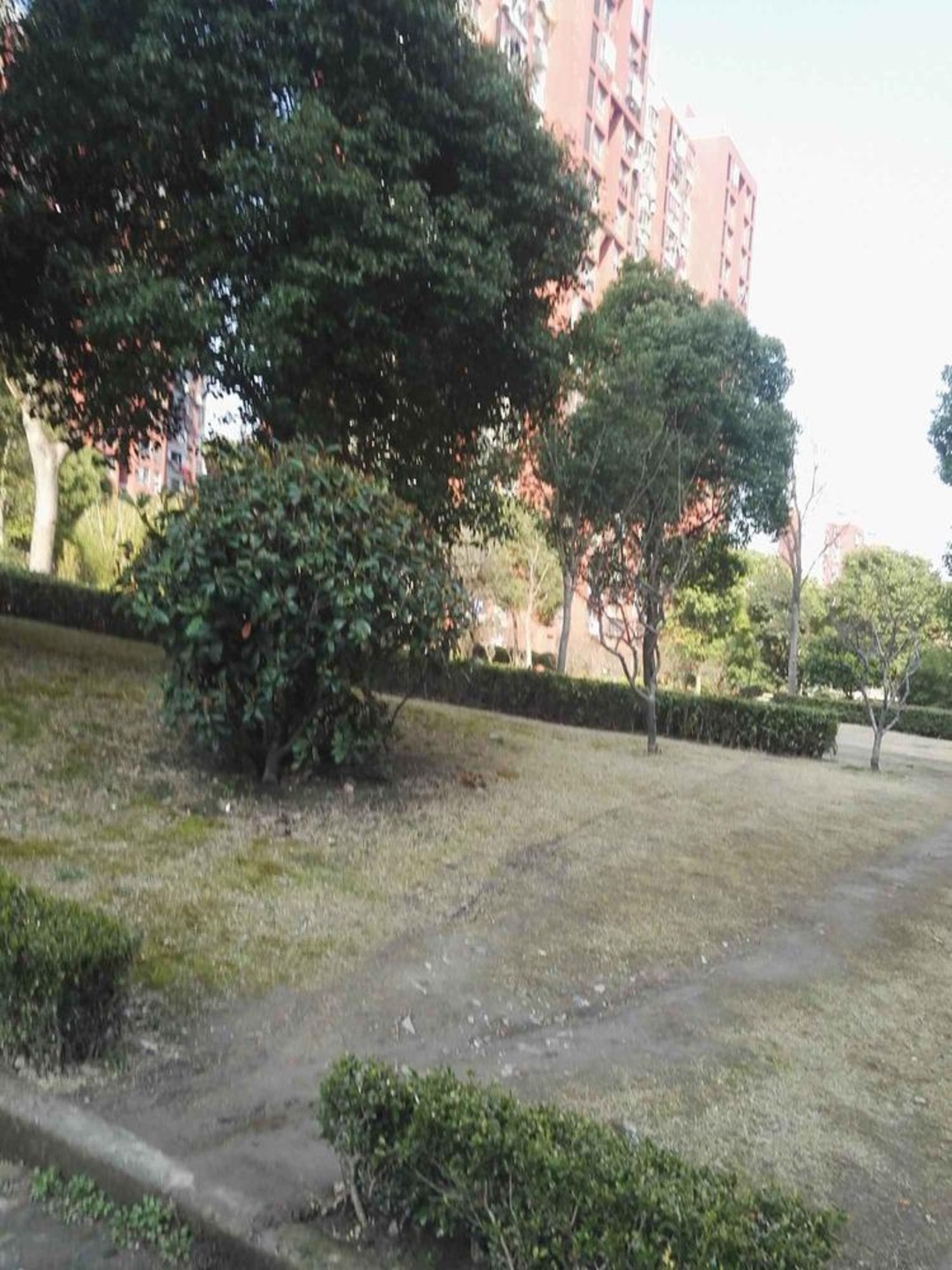 上海永翔佳苑(西区)二手房房源图片