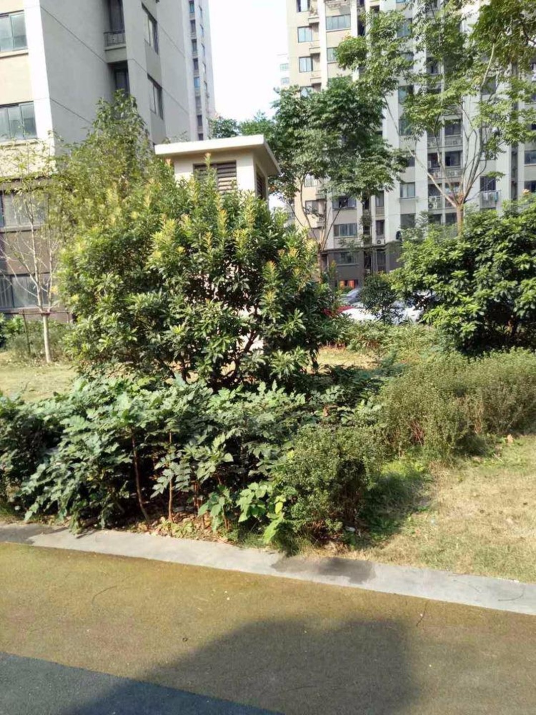 上海美罗家园宝欣苑五村二手房房源图片