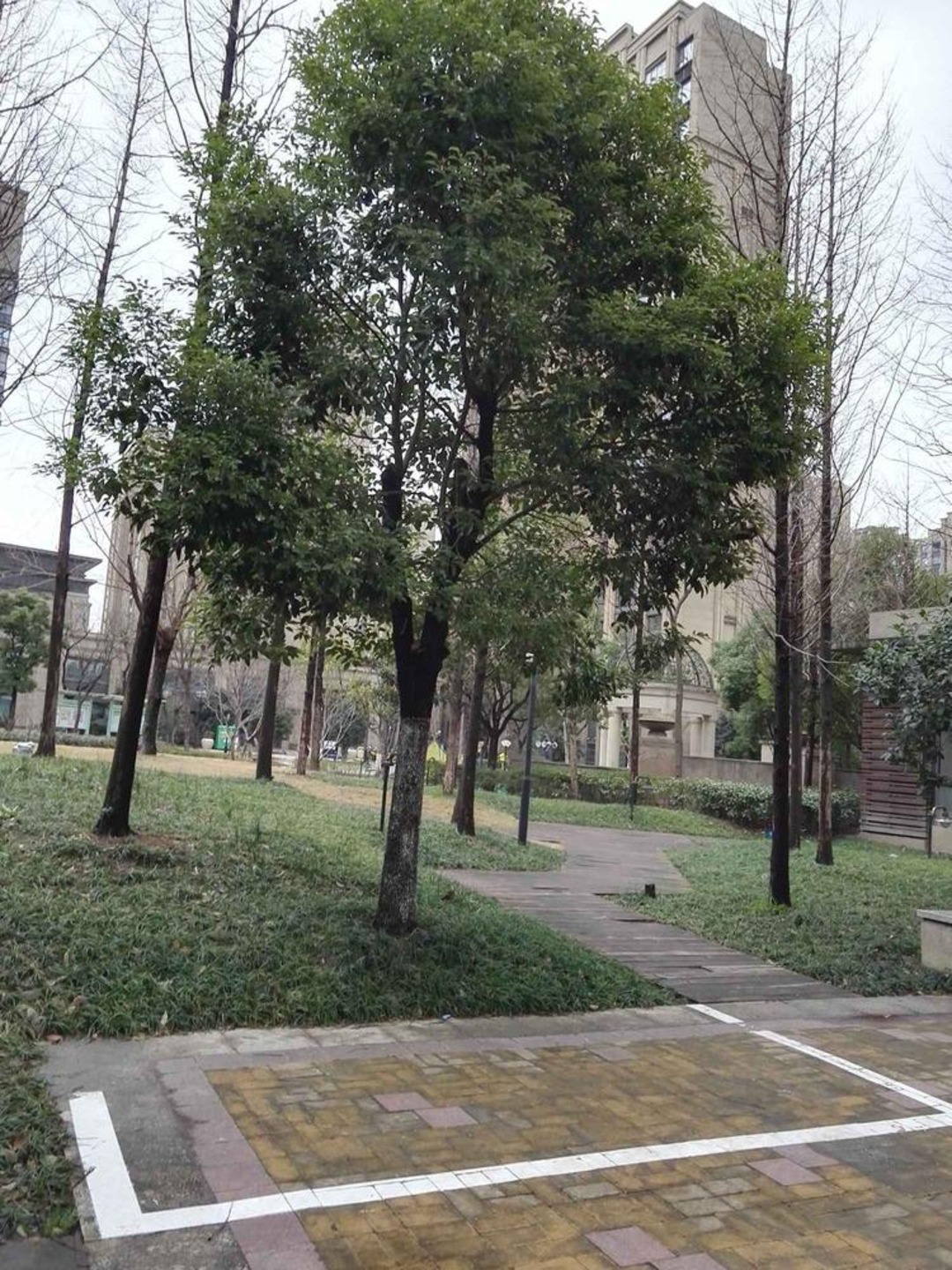 上海绿地清猗园(二期)二手房房源图片