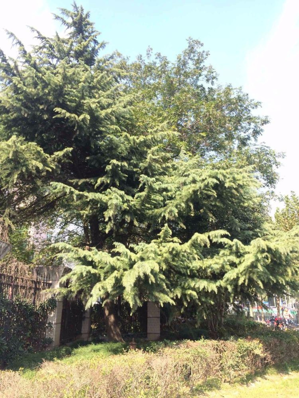 上海万邦都市花园二手房房源图片