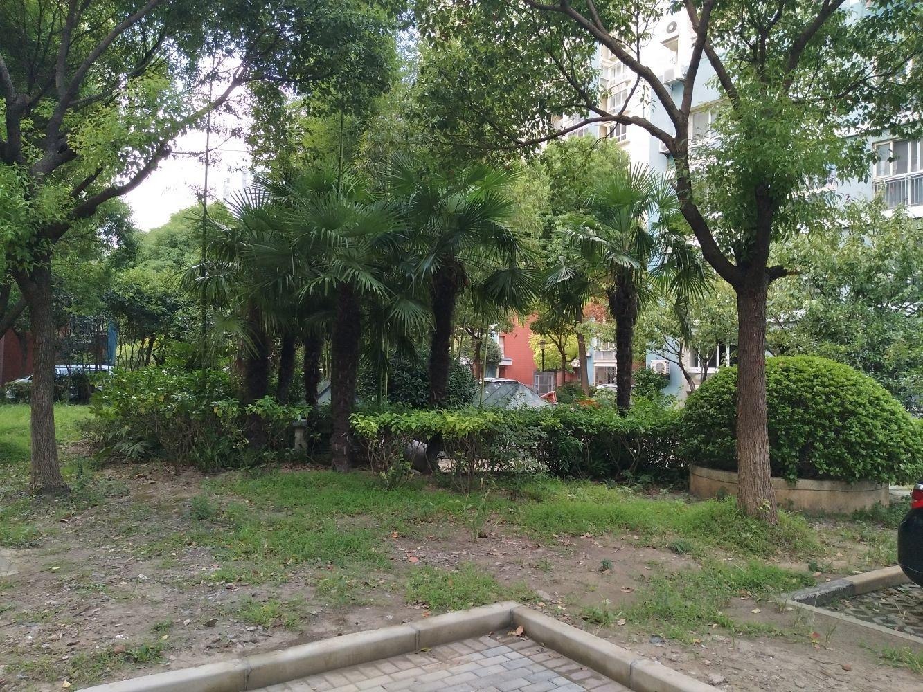 上海东苑怡景园二手房房源图片