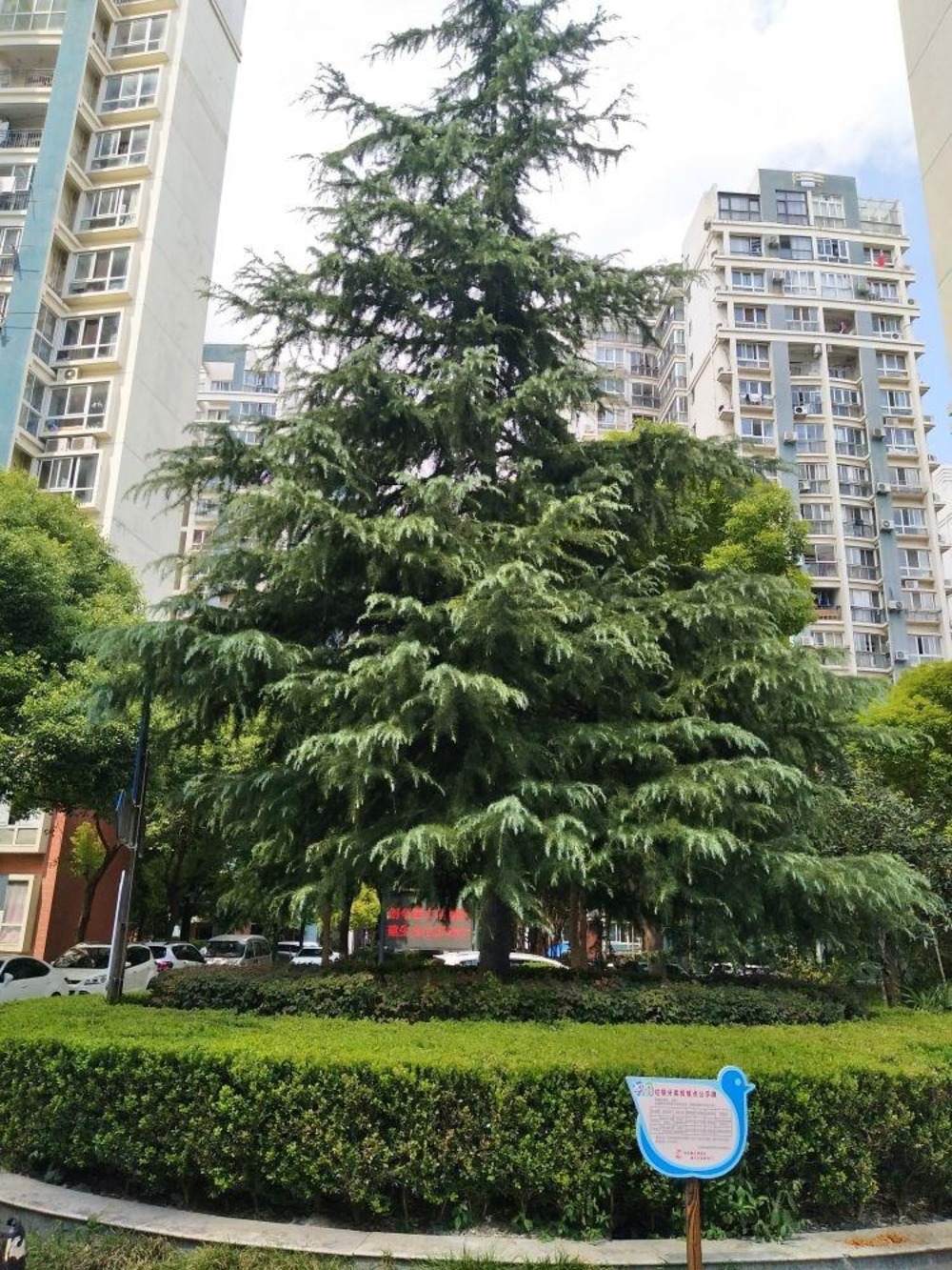 上海东苑怡景园二手房房源图片