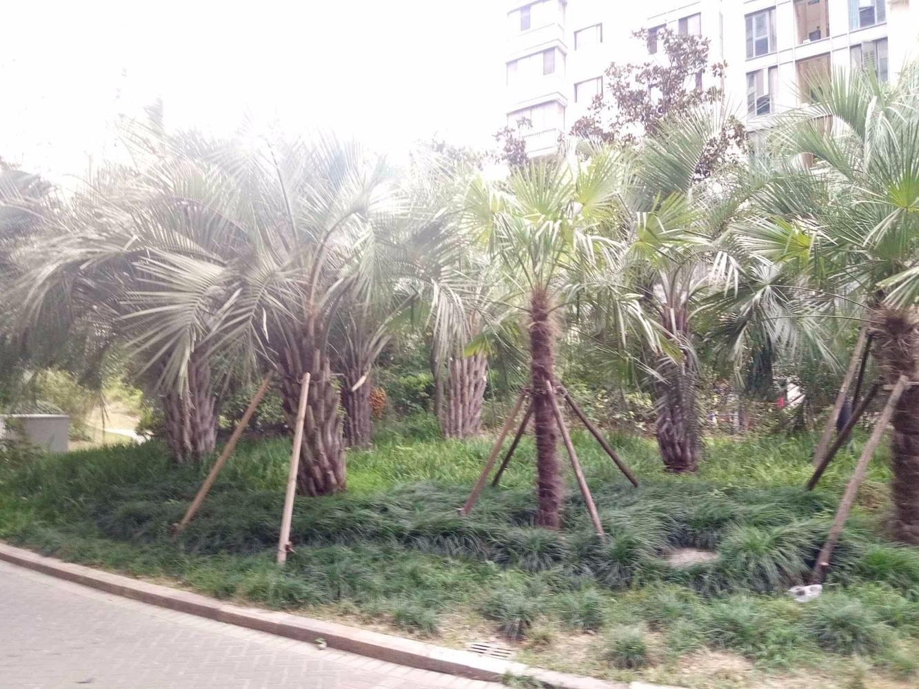 上海绿地崴廉公寓二手房房源图片