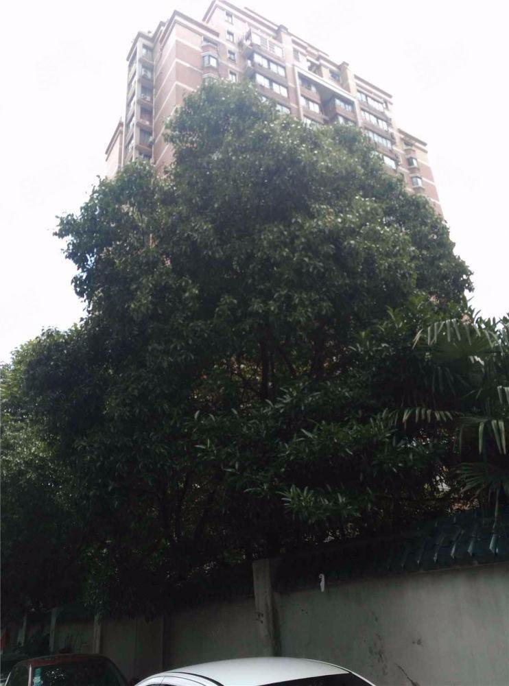 上海环东公寓二手房房源图片