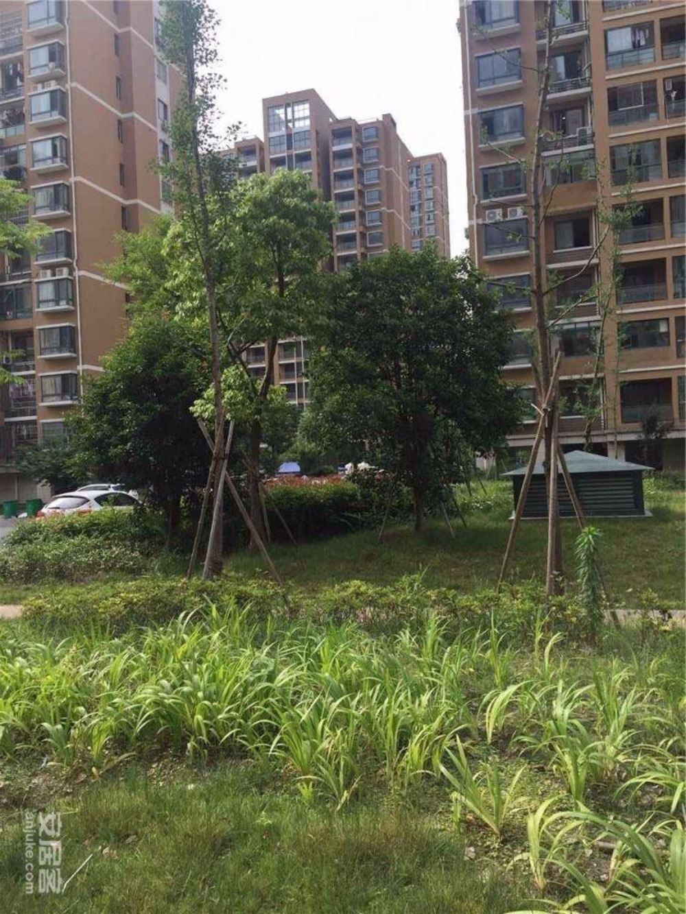 上海金石苑(佳高路)二手房房源图片