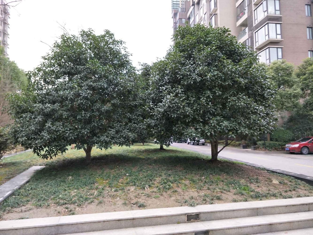 上海一品漫城(一期公寓住宅)二手房房源图片