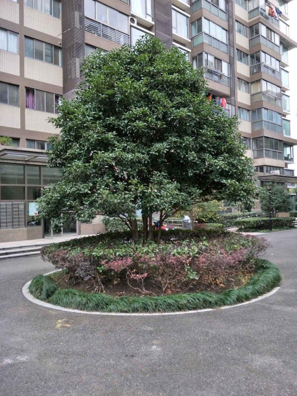 上海一品漫城(一期公寓住宅)二手房房源图片
