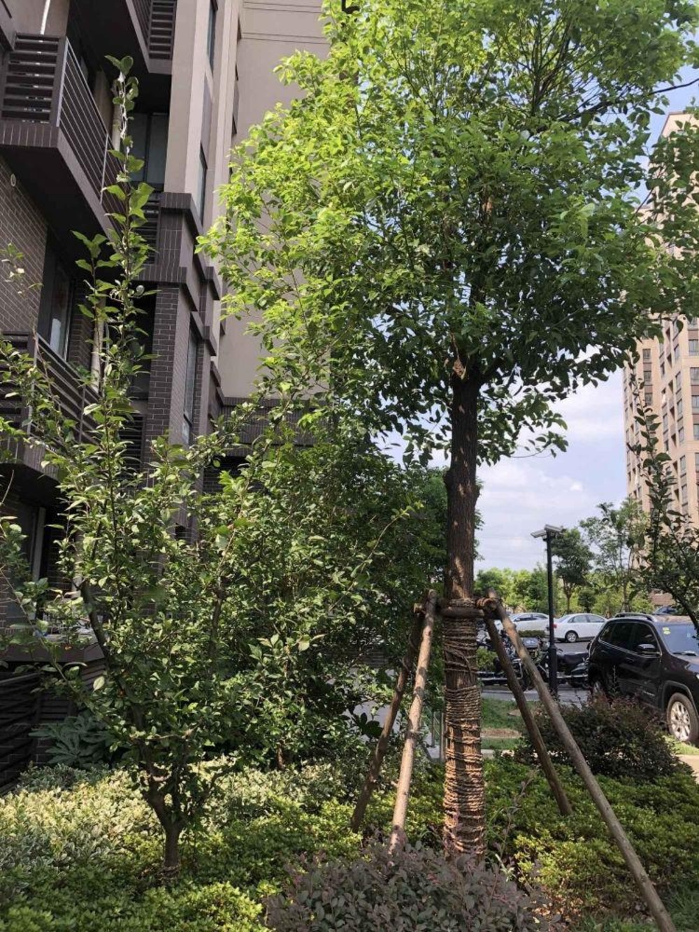 上海塘和家园顺康苑二手房房源图片