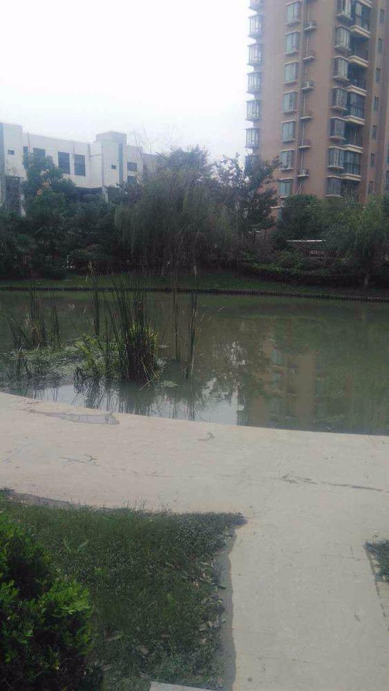 上海保利西子湾二手房房源图片