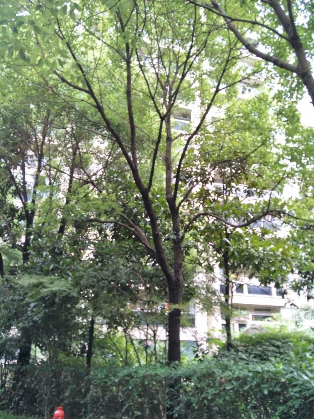 上海海上海二手房房源图片