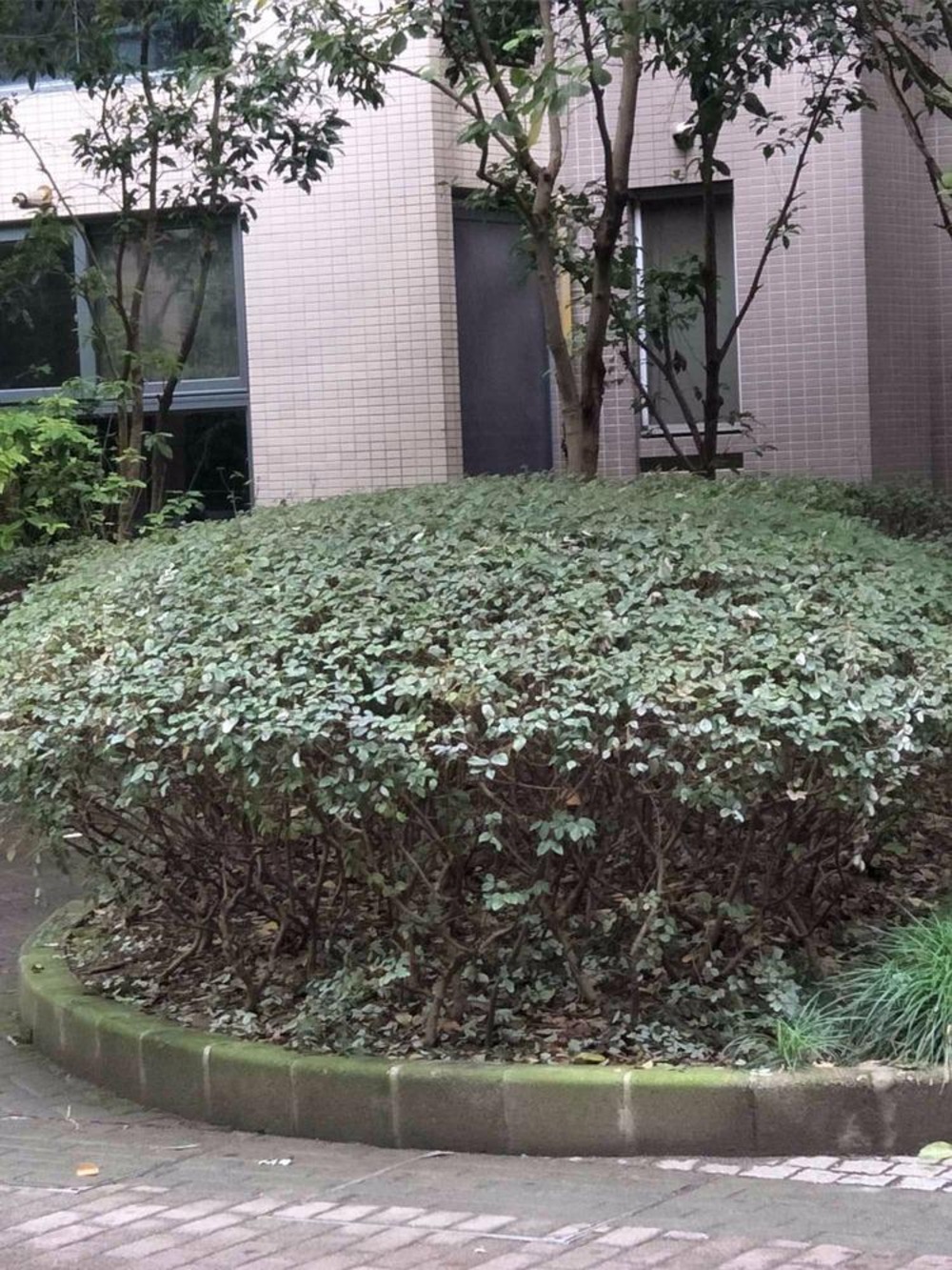 上海海上海二手房房源图片