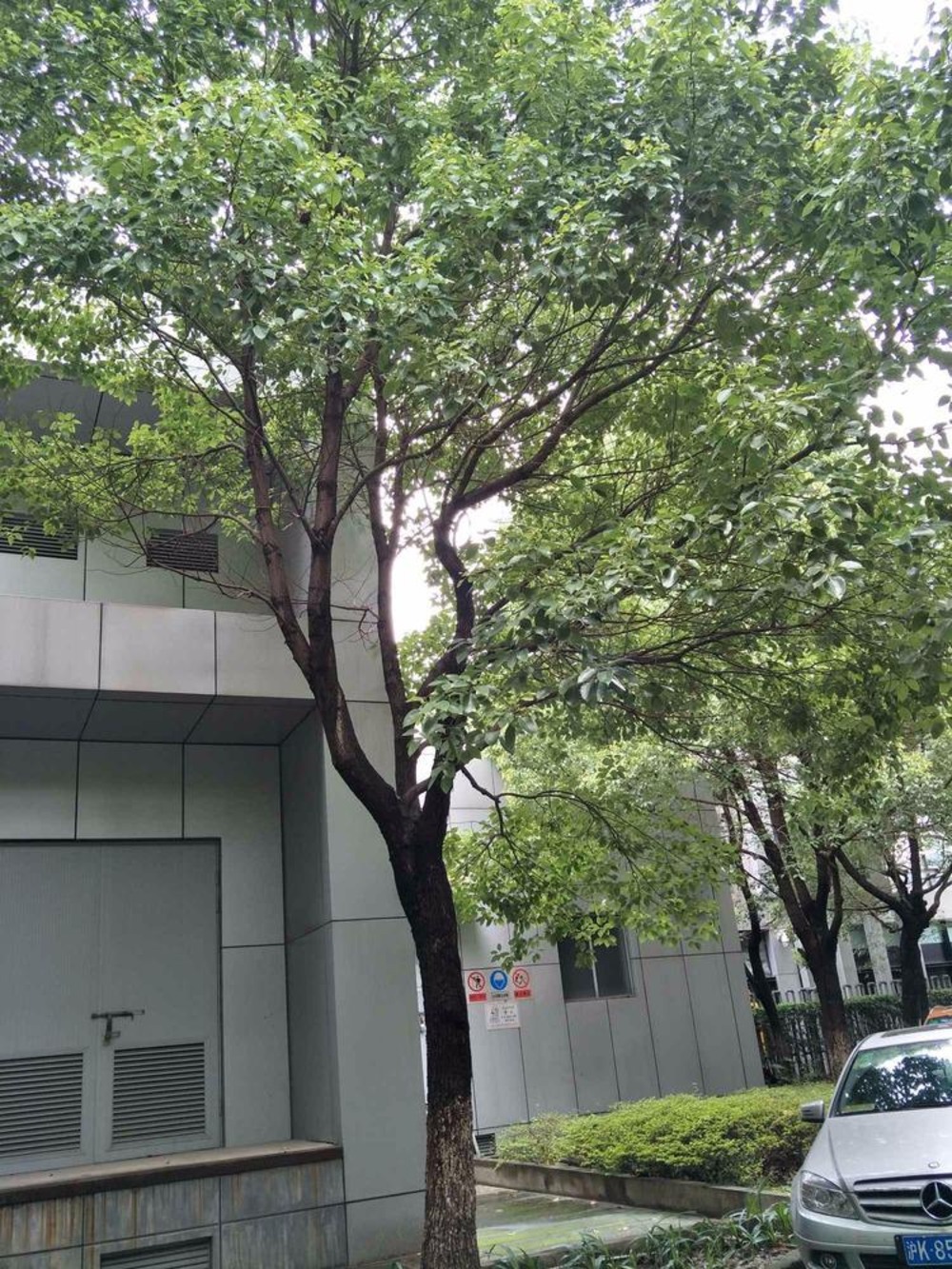 上海海上海二手房房源图片