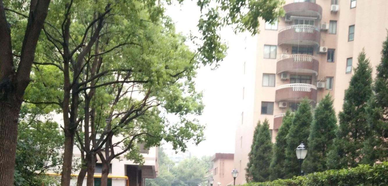 上海丁香公寓二手房房源图片