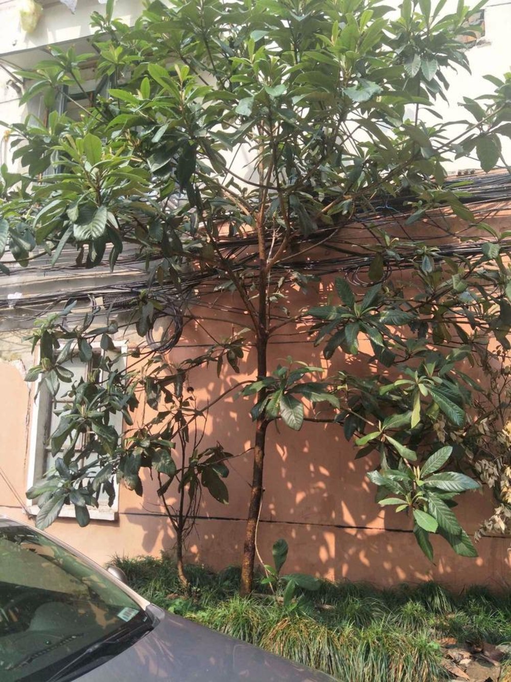 上海星火村姚家弄二手房房源图片