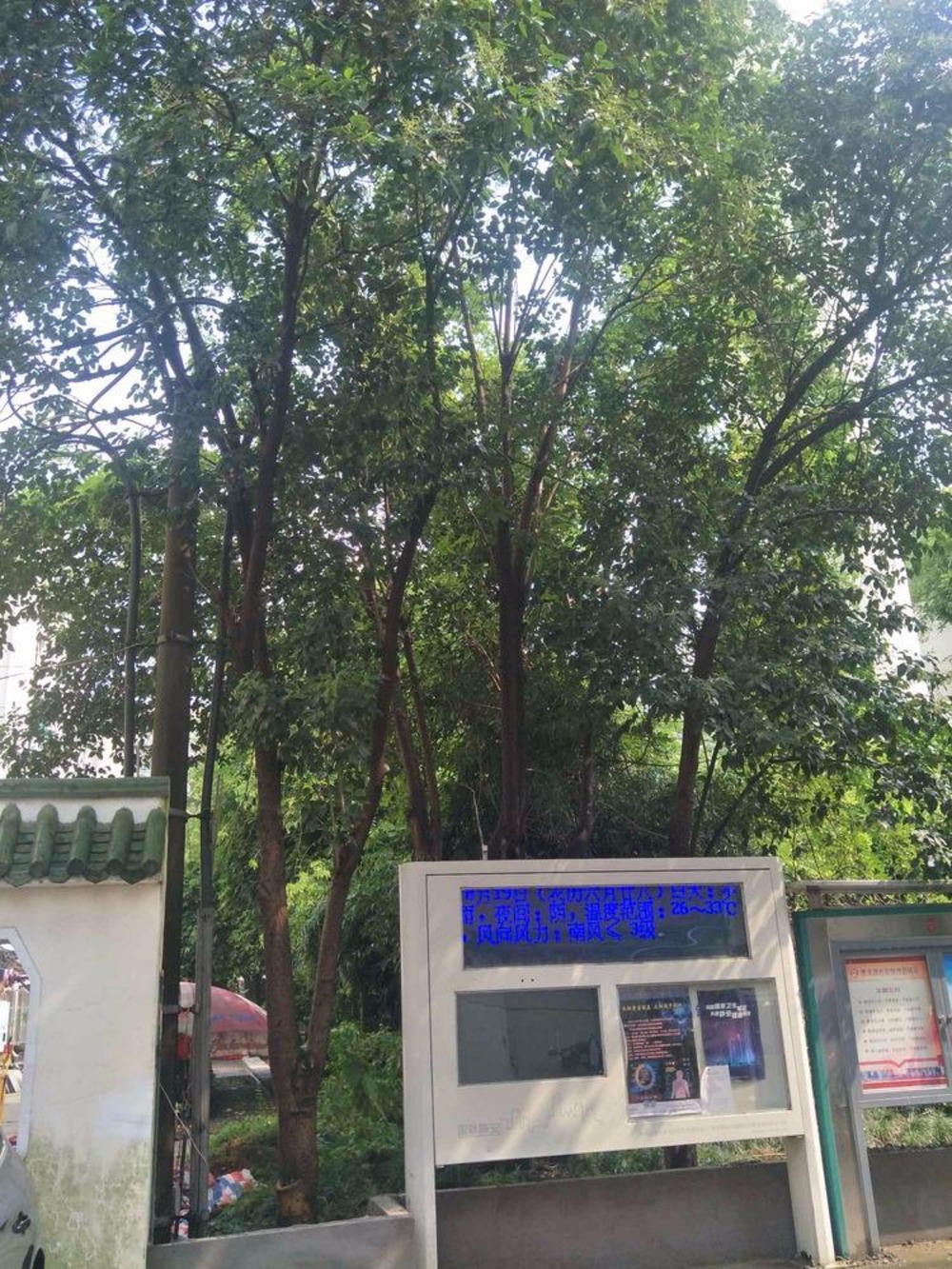 上海星火村姚家弄二手房房源图片