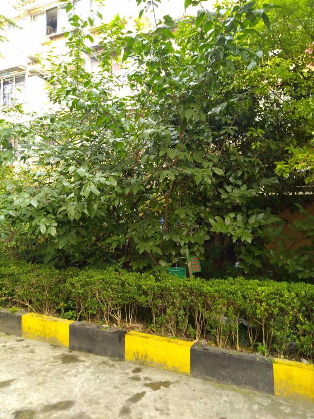 上海四平路幸福村二手房房源图片