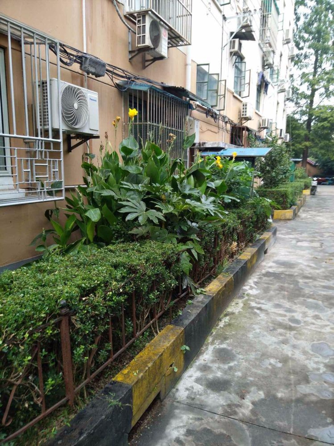 上海四平路幸福村二手房房源图片