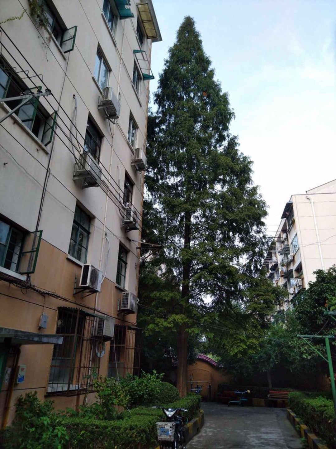 上海四平路幸福村二手房房源图片