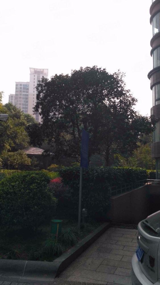 上海黄浦华庭二手房房源图片