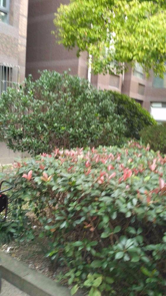 上海黄浦华庭二手房房源图片