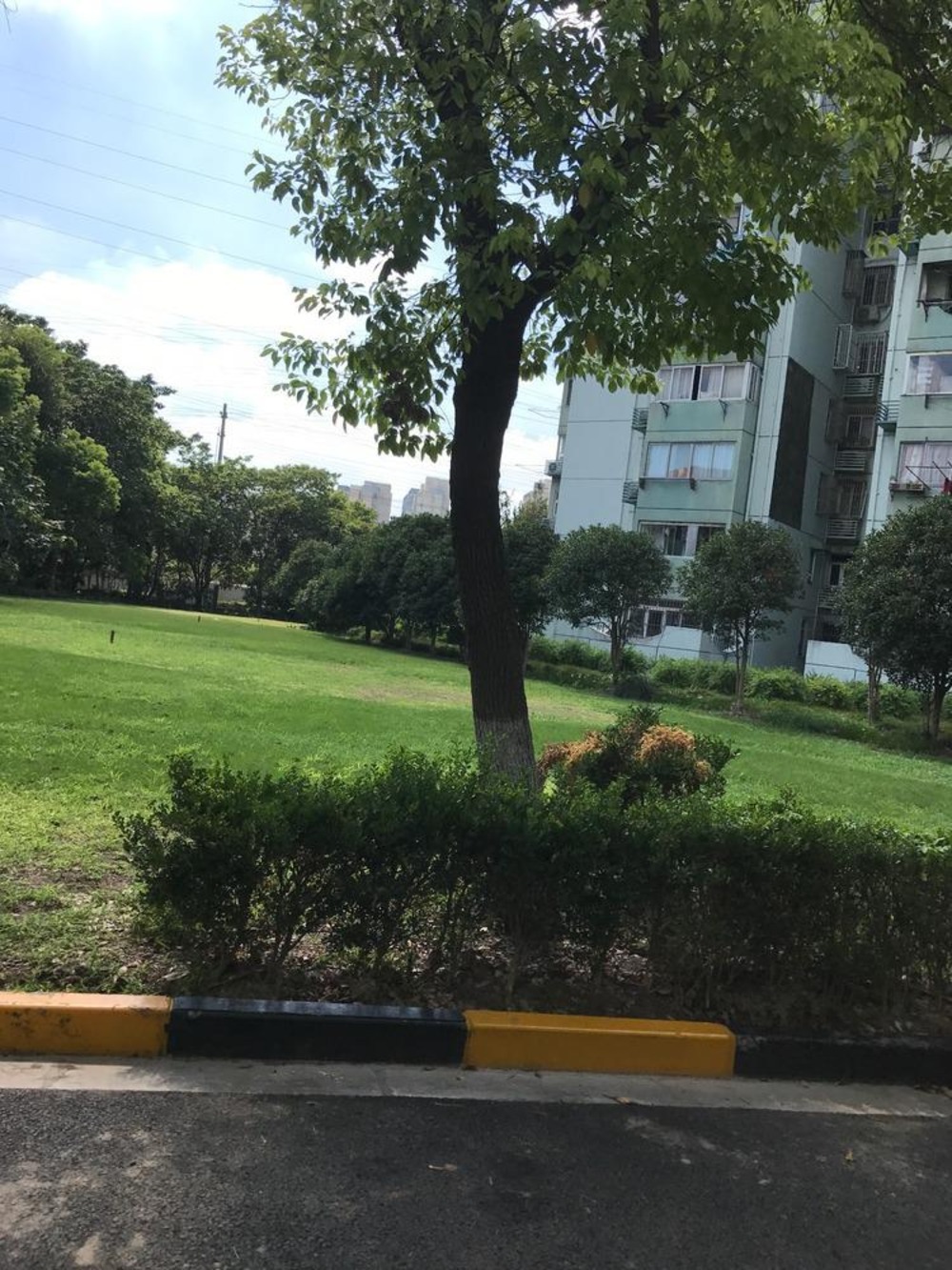 上海紫薇园二手房房源图片