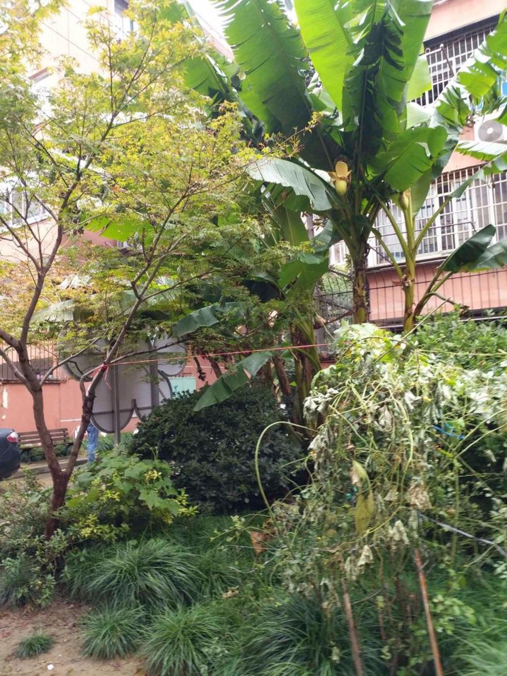 上海宜山路701弄小区二手房房源图片