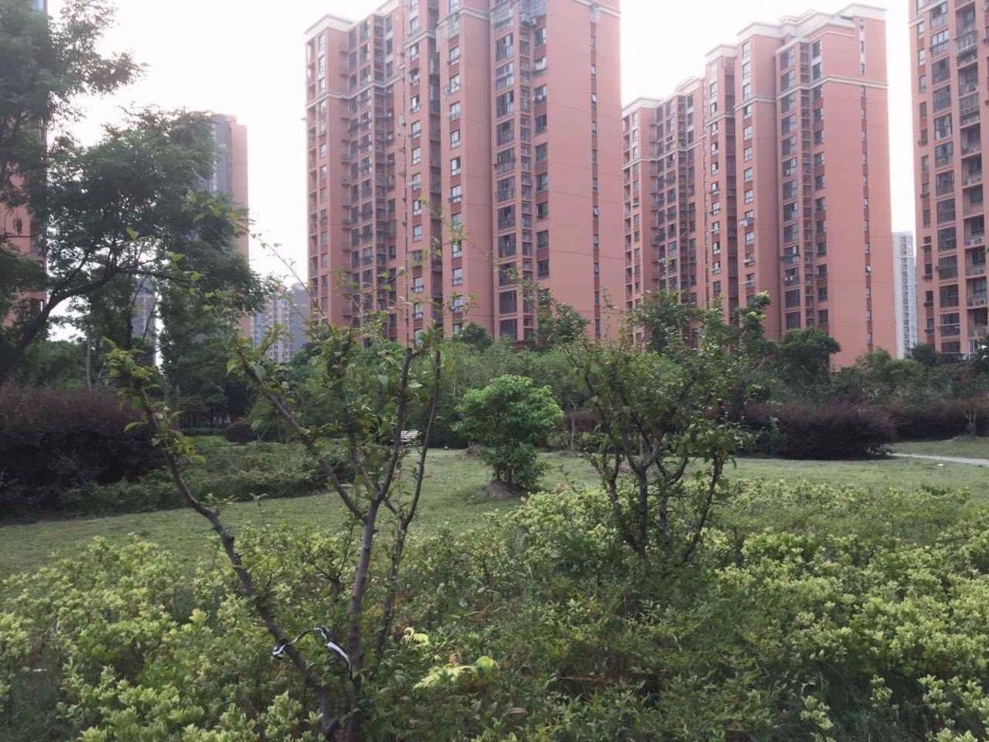 上海星金家园二手房房源图片